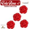 ROSAS FLOTANTES NO 1